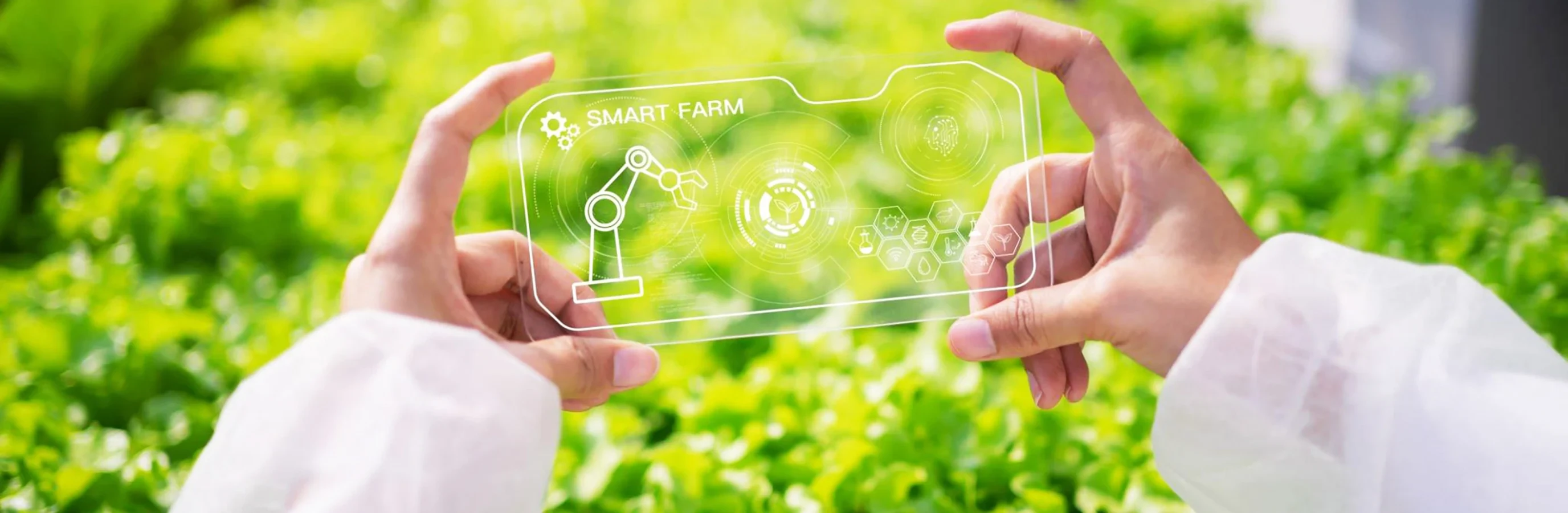 Digital Transformation
