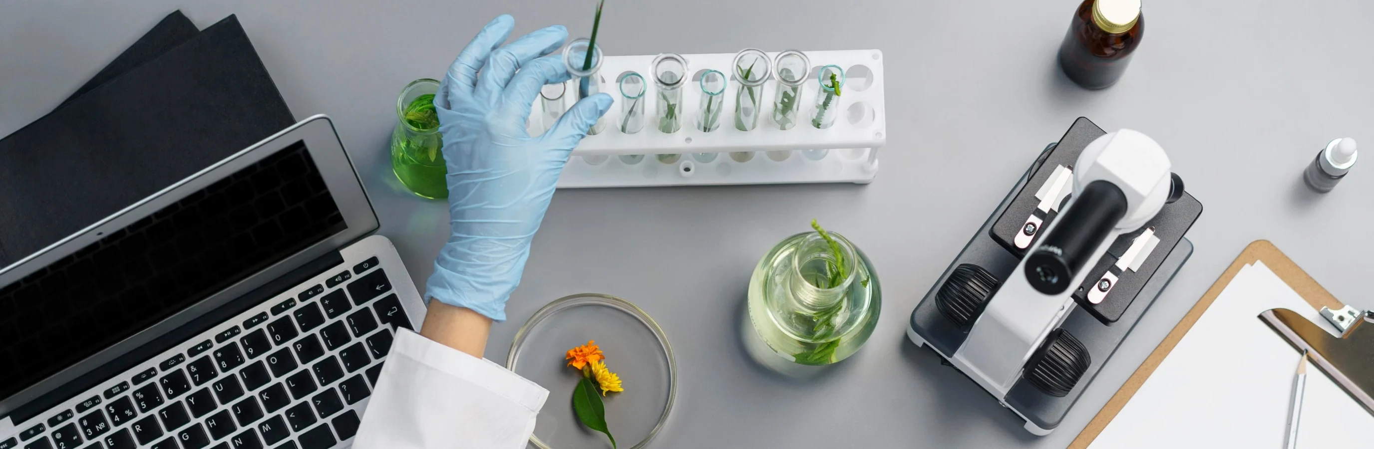 Products Development for Sustainable Consumption