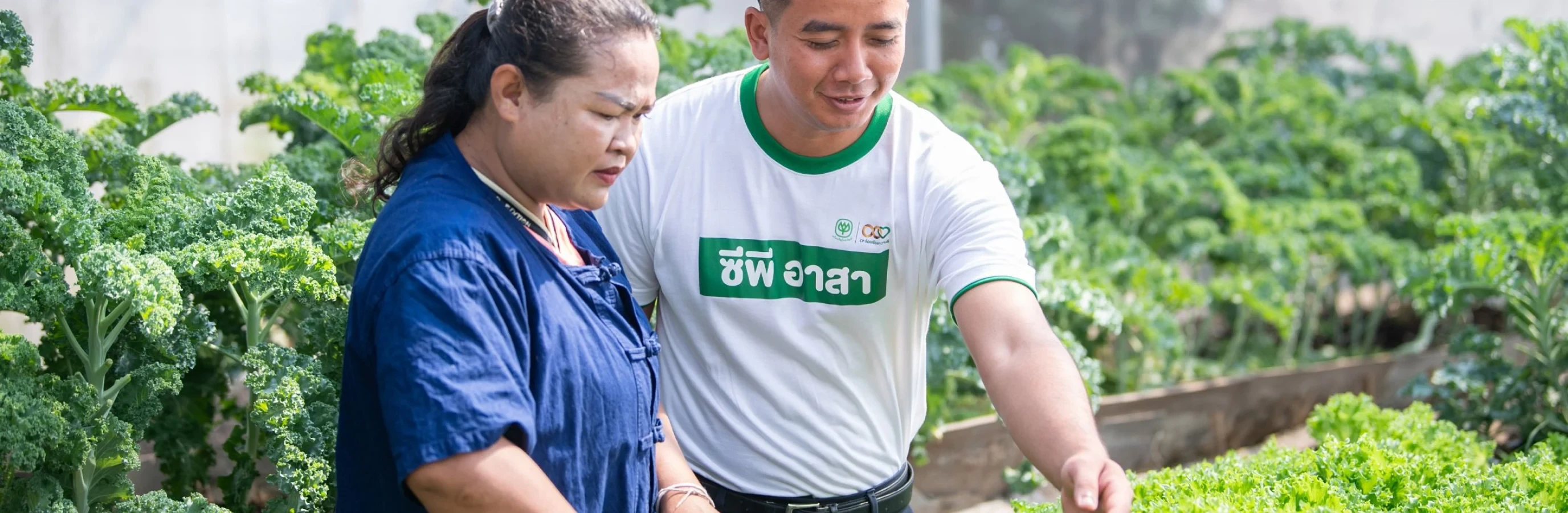 คุณค่าและการสร้างประโยชน์ทางเศรษฐกิจให้แก่สังคม
