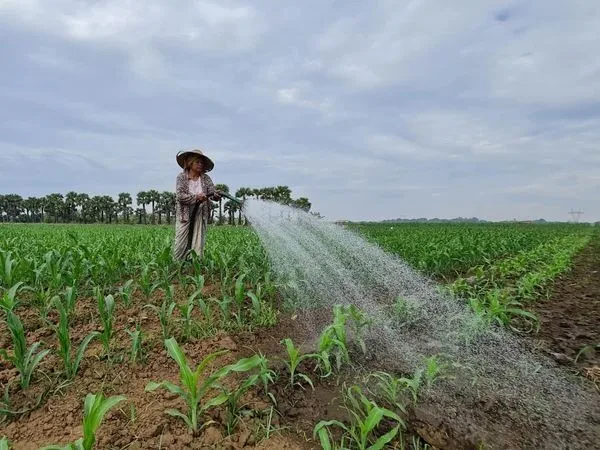 CPP Myanmar ขับเคลื่อนการพัฒนาแหล่งน้ำช่วยเหลือเกษตรกร สู่การมีรายได้ตลอด 365 วัน