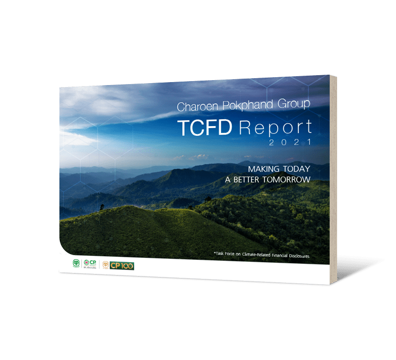 TCFD Report 2021