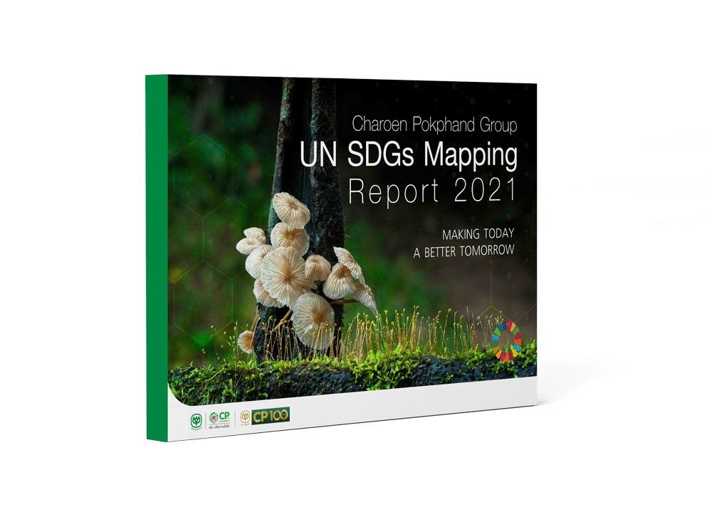 UN SDGs Mapping Report 2021