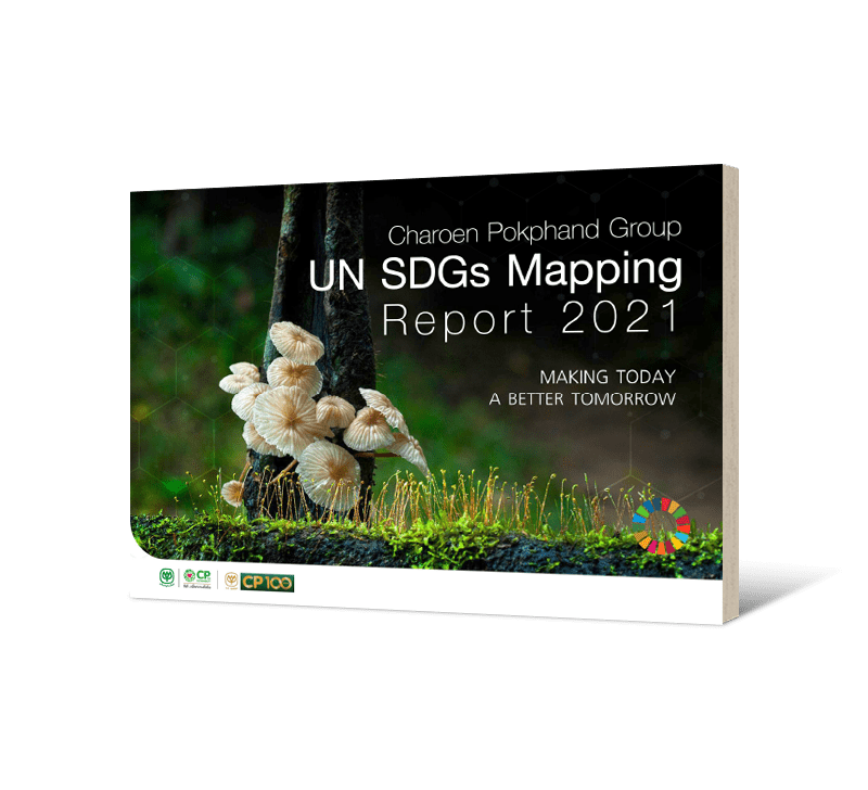 UN SDGs Mapping Report 2021