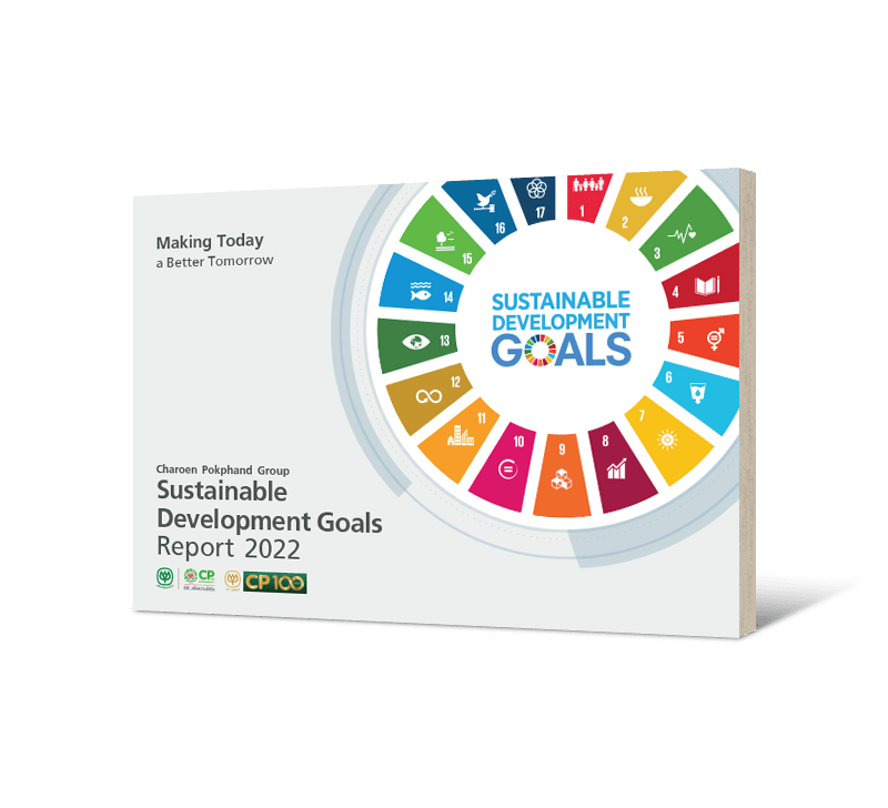 Sustainable Development Goals Report 2022