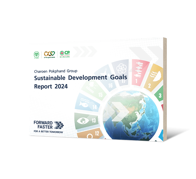Sustainable Development Goals Report 2024