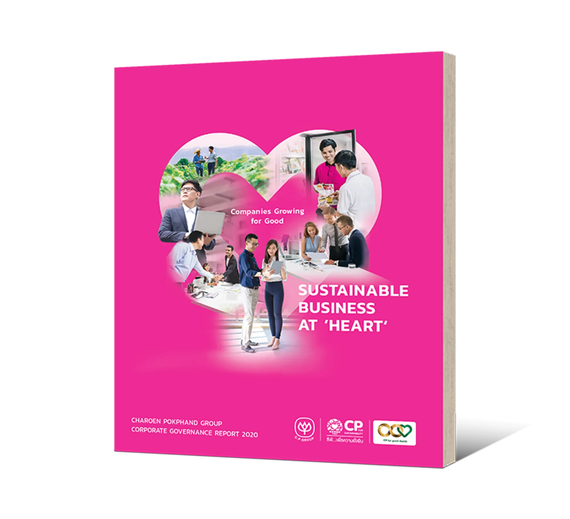 Corporate Governance Report 2020 (English)