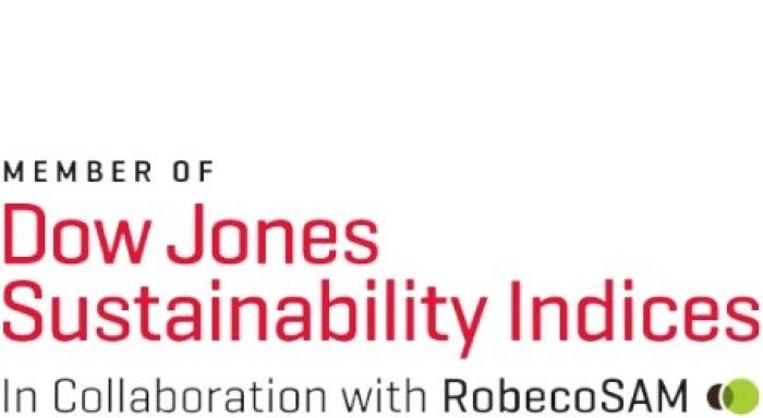 Dow Jones Sustainabilty Indices 2019
