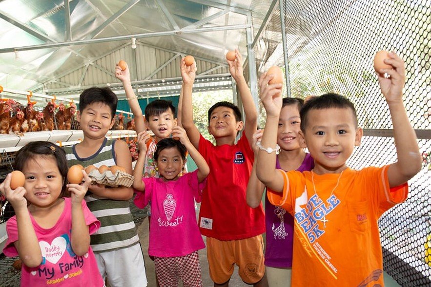 Raising Layer Chickens for Orphan Lunch (C.P. Vietnam Corporation, Vietnam)