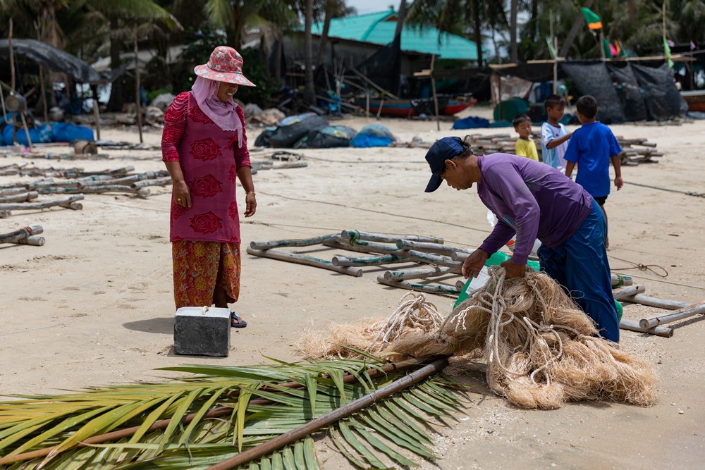 Fish Aggregating Devices (FADs) for sustainability: social innovation for profitable conservation from the Gulf of Thailand to Andaman Sea