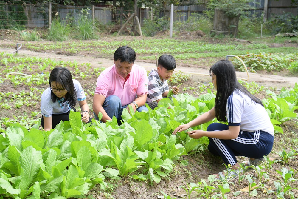 Chicken Farm supplies nutrition for children