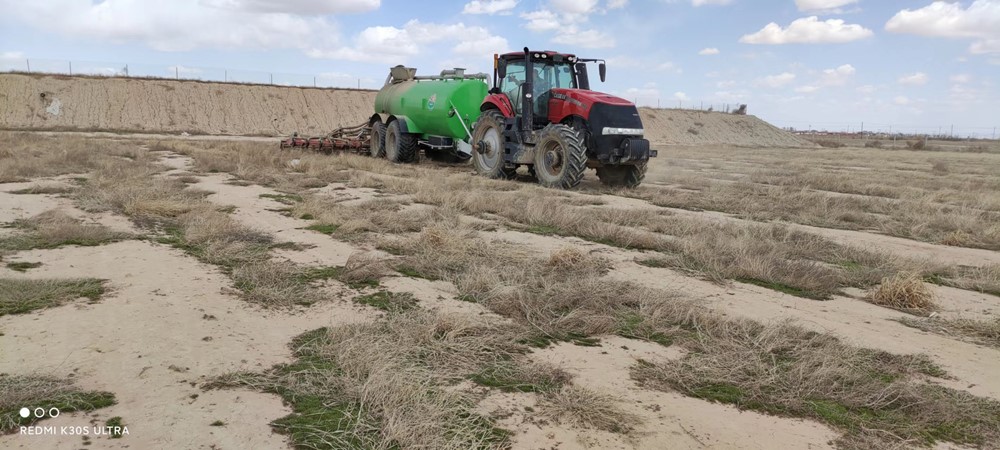 Saline-alkali Land Improvement by Pig Manure Application Project