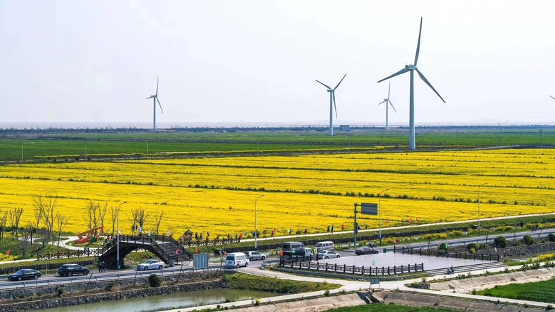 โครงการสวนเกษตรสมัยใหม่ CIXI ประเทศจีน