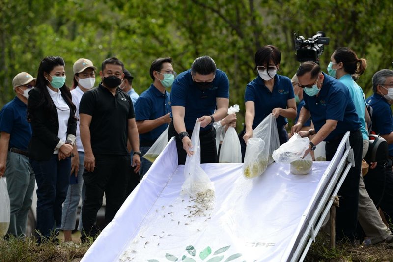 ‘CPF Rak Ni-Ves at Phraya Doen Thong Mountain’ Project