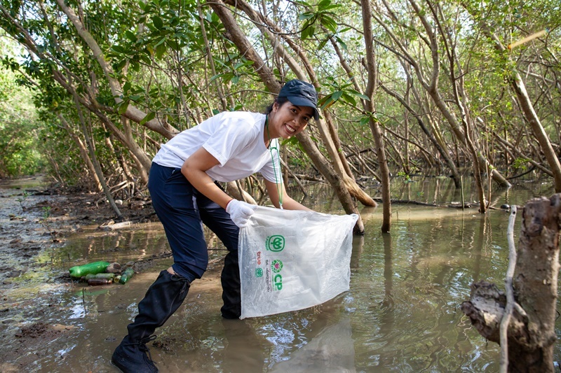 Build, Share, Protect Mangrove Forests