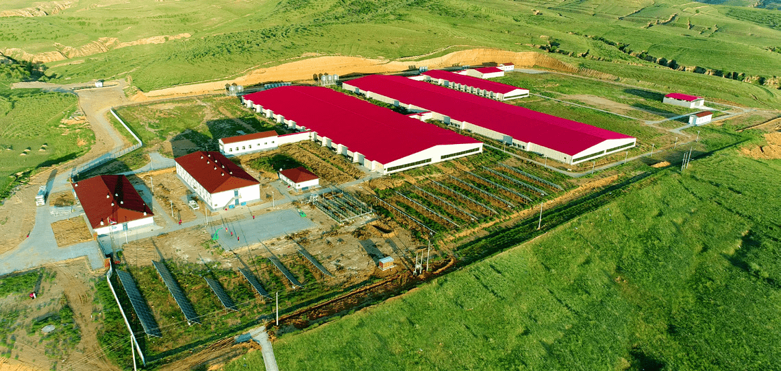 Swine Farming and Integrated Crop Cultivation Project, Inner Mongolia