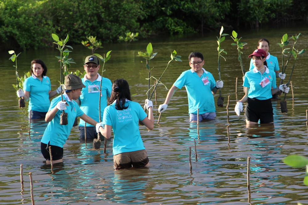 Share and Protect Mangrove Forest project