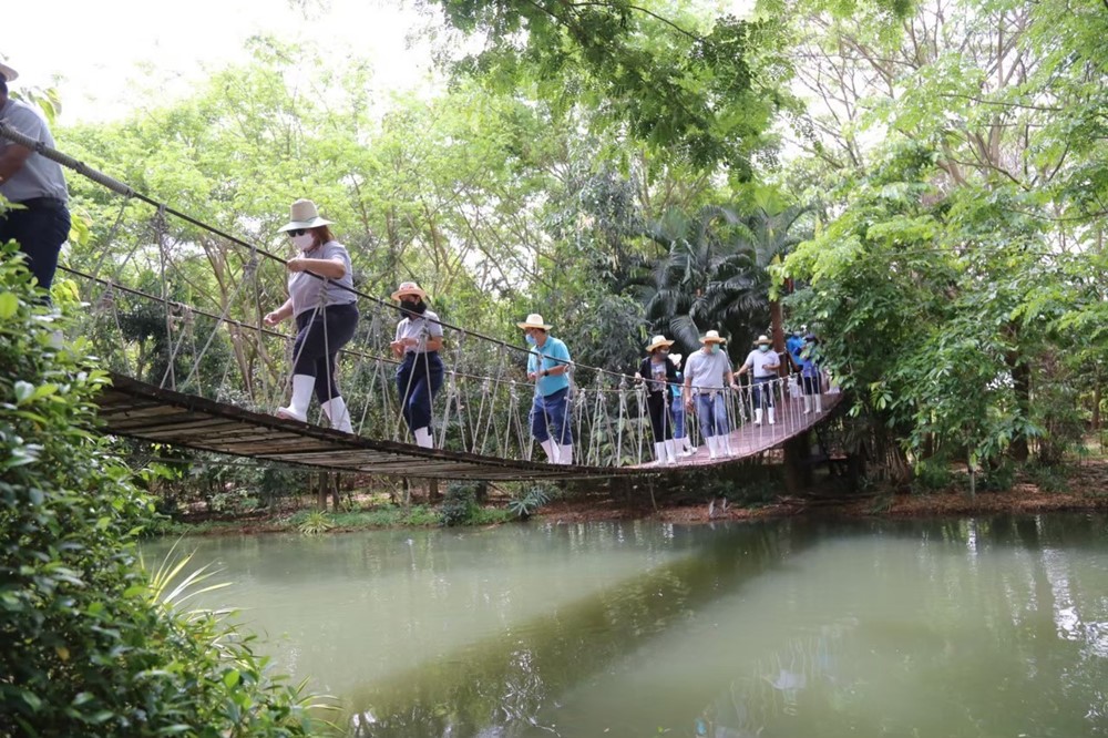 Kamphaeng Phet Community Forest