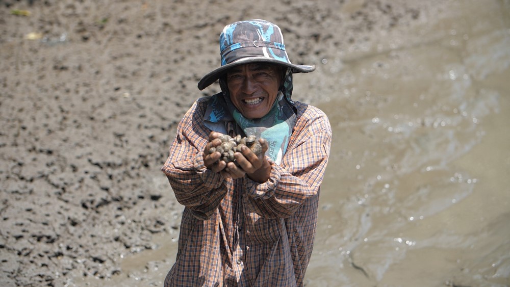 CPF Grow Share Protect  Mangrove Forest for Samutsakhon Province