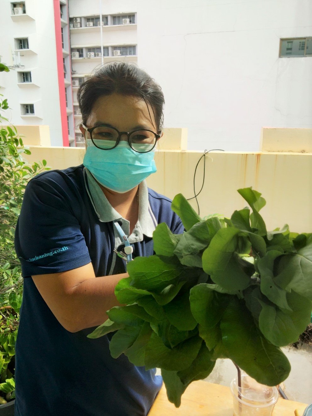 Chia Tai Further Strengthens Food Security Transforming Rooftop Space into Urban Garden