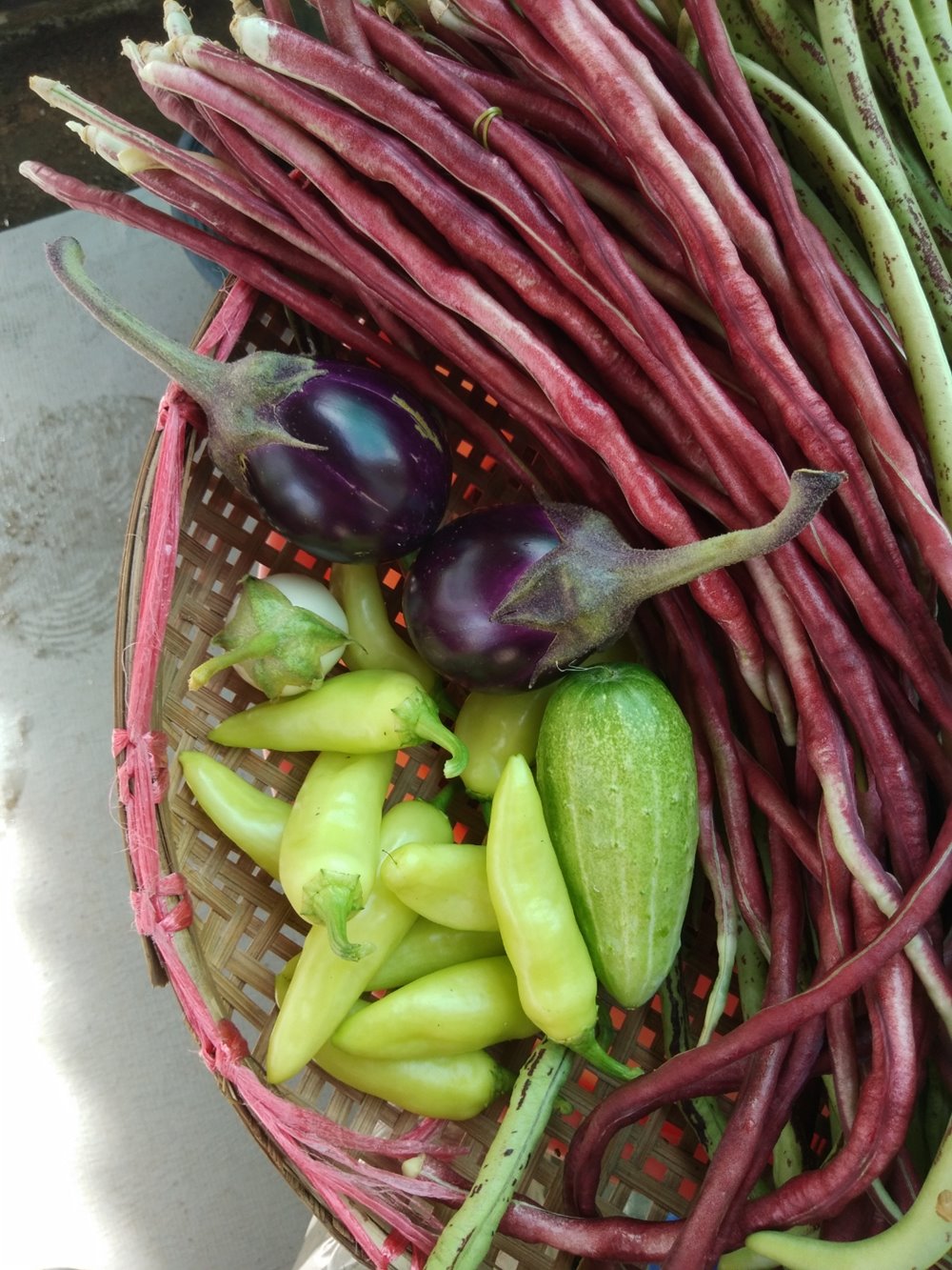 Chia Tai Further Strengthens Food Security Transforming Rooftop Space into Urban Garden