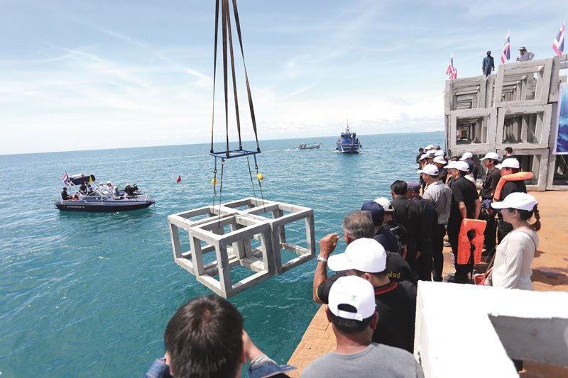 Artificial Reef Project