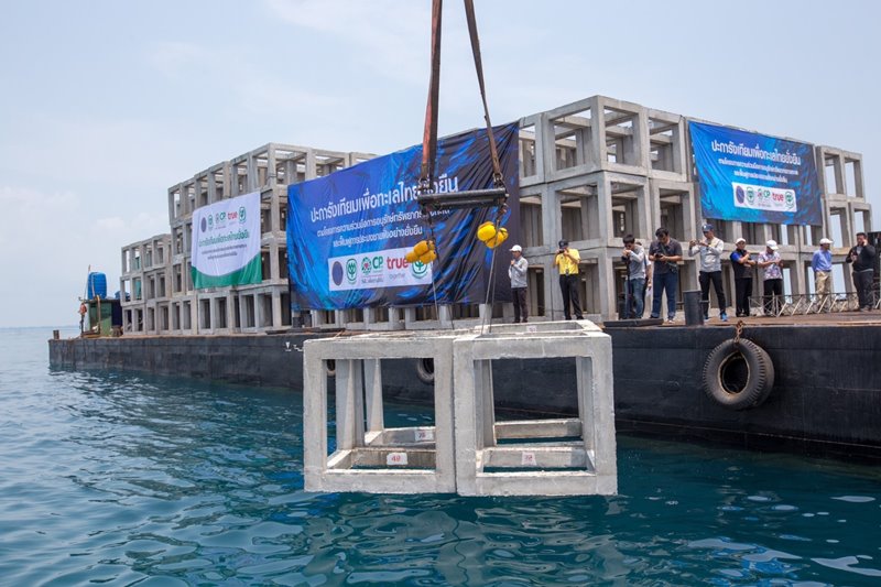 Artificial Reef Project