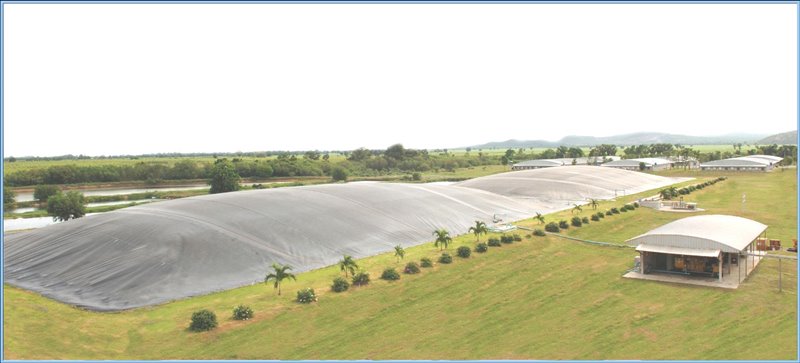 Layer Chicken Complex under Zero Waste Concept