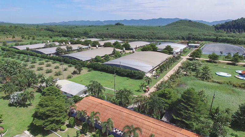 Layer Chicken Complex under Zero Waste Concept