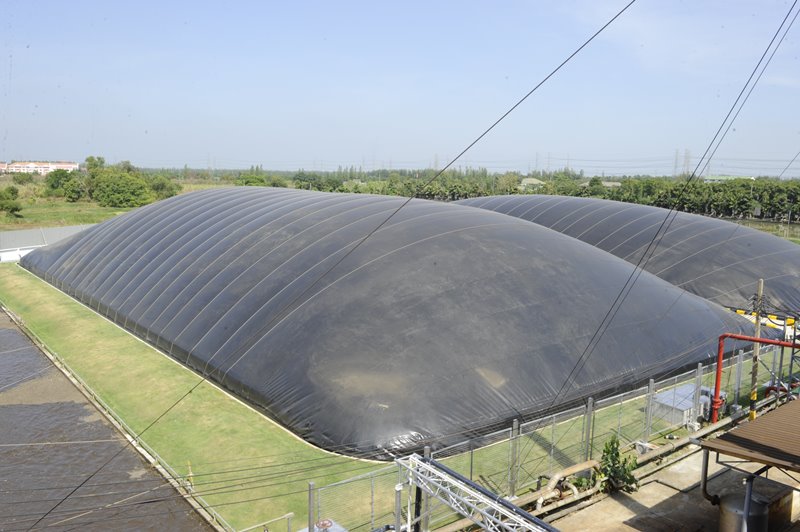 Layer Chicken Complex under Zero Waste Concept