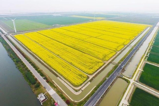 Cixi Modern Agricultural Park, China