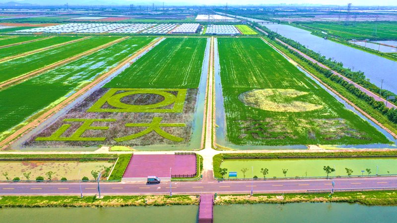 Cixi Modern Agricultural Park, China
