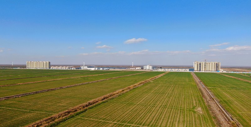 Cixi Modern Agricultural Park, China