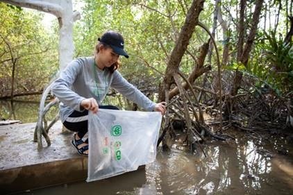 Build, Share, Protect Mangrove Forests