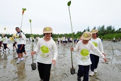 Build, Share, Protect Mangrove Forests