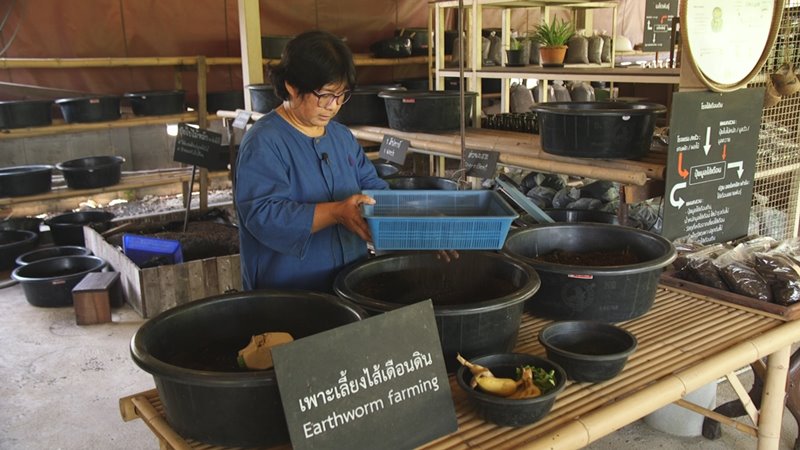 Video Series on Lessons Learned from Circular Economy in Tourism Sector SMEs