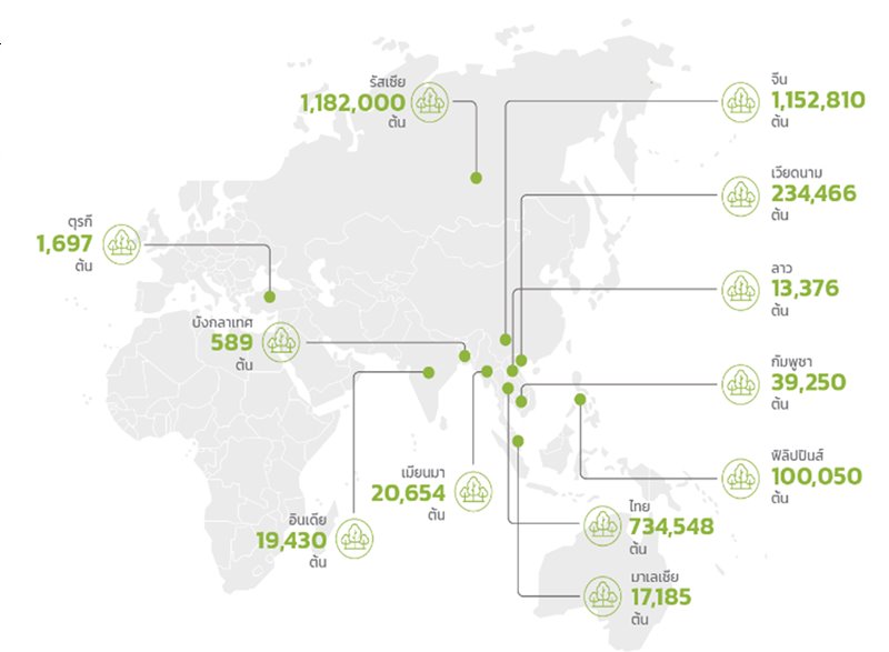 We Grow…Growing for Sustainability