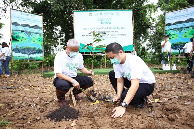 We Grow…Growing for Sustainability